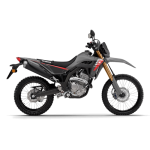CRF300L - Image 2